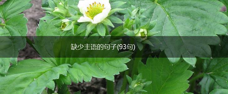 缺少主语的句子(93句),第1张