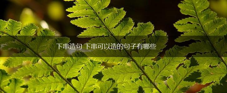 下串造句 下串可以造的句子有哪些,第1张