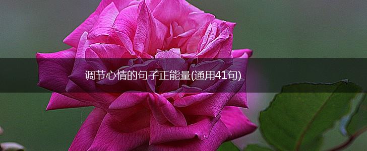 调节心情的句子正能量(通用41句),第1张