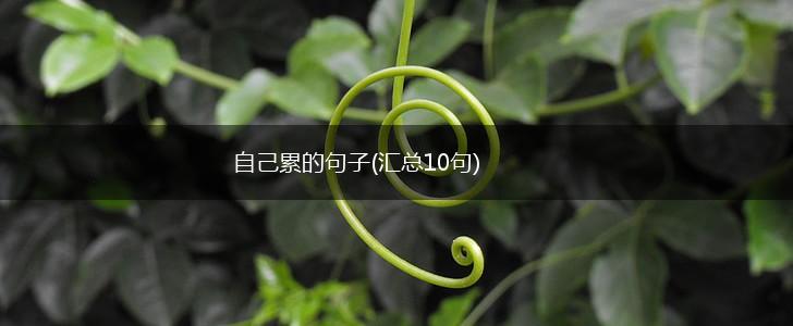 自己累的句子(汇总10句),第1张