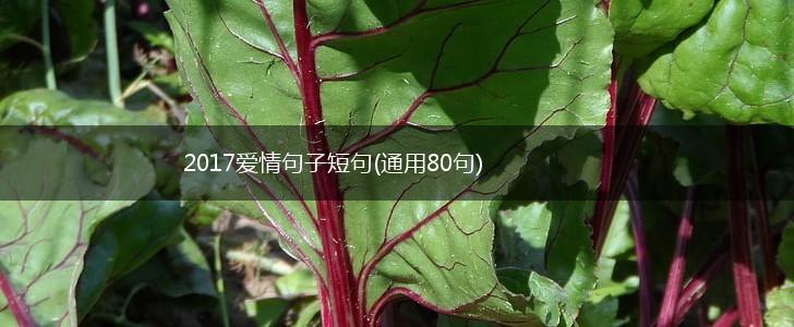 2017爱情句子短句(通用80句),第1张