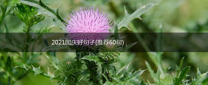 2021国庆好句子(推荐60句),第1张