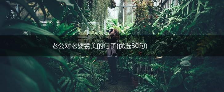 老公对老婆赞美的句子(优选30句),第1张