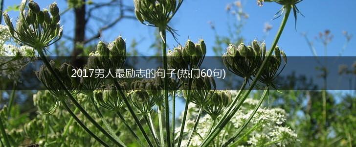 2017男人最励志的句子(热门60句),第1张