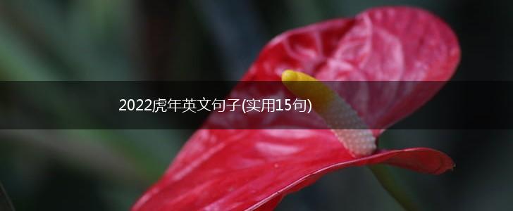 2022虎年英文句子(实用15句),第1张