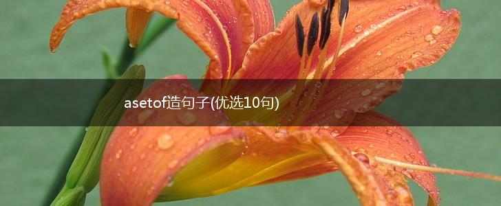 asetof造句子(优选10句),第1张