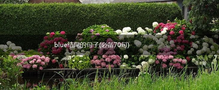 blue结尾的句子(必备70句),第1张