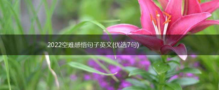 2022空难感悟句子英文(优选7句),第1张