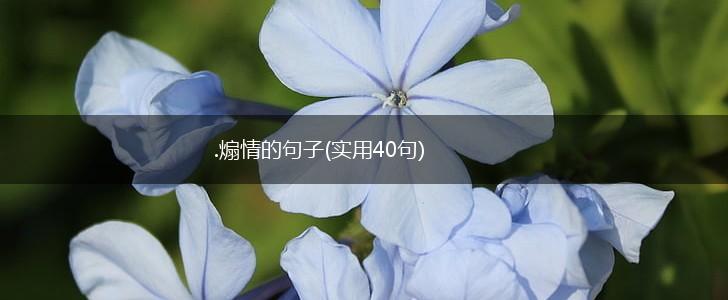 .煽情的句子(实用40句),第1张