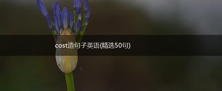 cost造句子英语(精选50句),第1张