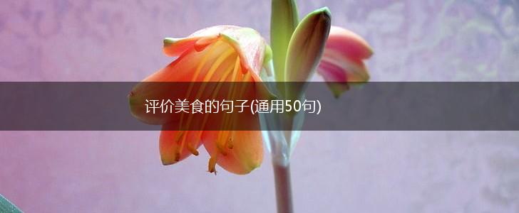 评价美食的句子(通用50句),第1张