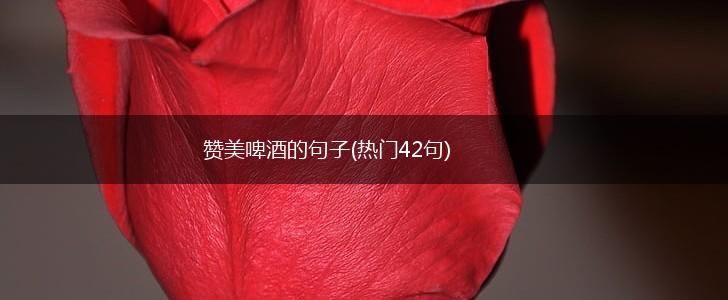 赞美啤酒的句子(热门42句),第1张