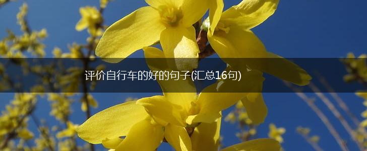 评价自行车的好的句子(汇总16句),第1张