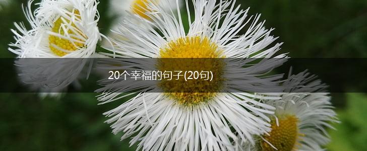 20个幸福的句子(20句),第1张