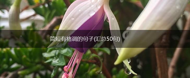 简短有格调的句子(汇总50句),第1张