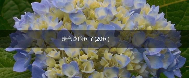 走弯路的句子(20句),第1张