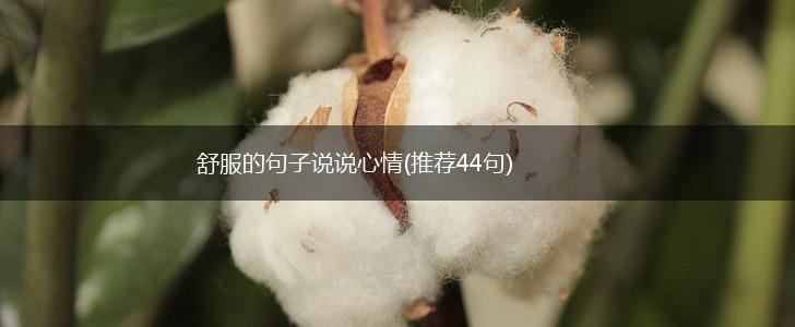 舒服的句子说说心情(推荐44句),第1张