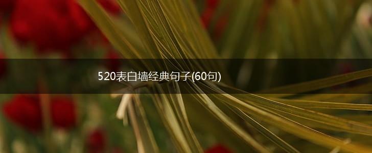 520表白墙经典句子(60句),第1张
