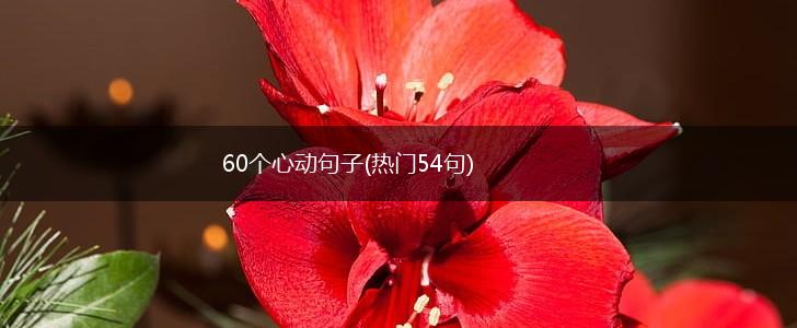 60个心动句子(热门54句),第1张