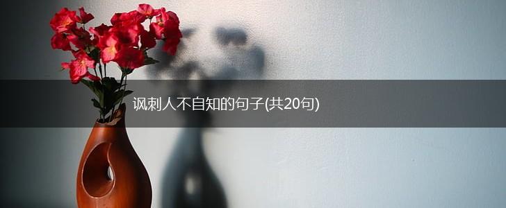 讽刺人不自知的句子(共20句),第1张