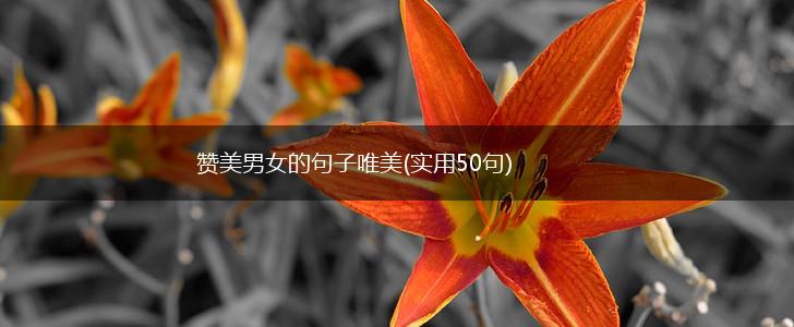 赞美男女的句子唯美(实用50句),第1张