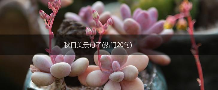 秋日美景句子(热门20句),第1张