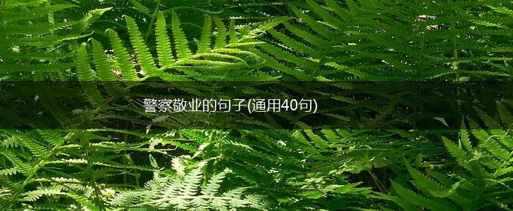 警察敬业的句子(通用40句),第1张