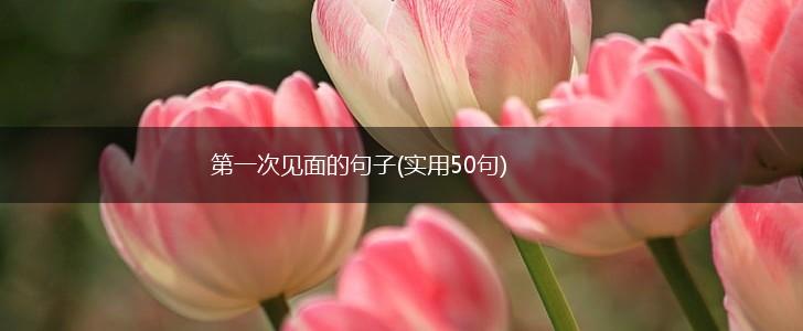 第一次见面的句子(实用50句),第1张