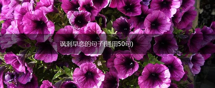 讽刺早恋的句子(通用50句),第1张