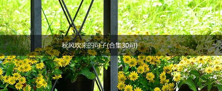 秋风吹来的句子(合集30句),第1张