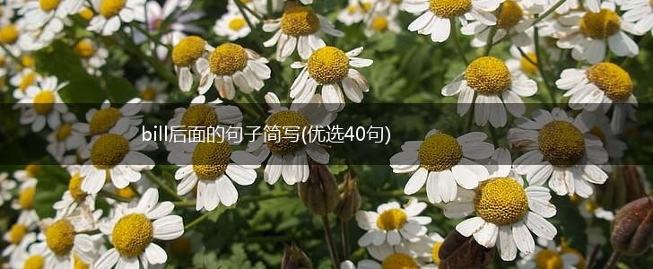 bill后面的句子简写(优选40句),第1张