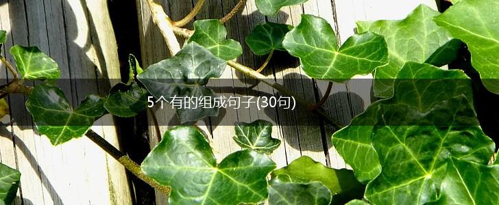 5个有的组成句子(30句),第1张