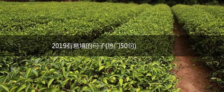 2019有意境的句子(热门50句),第1张