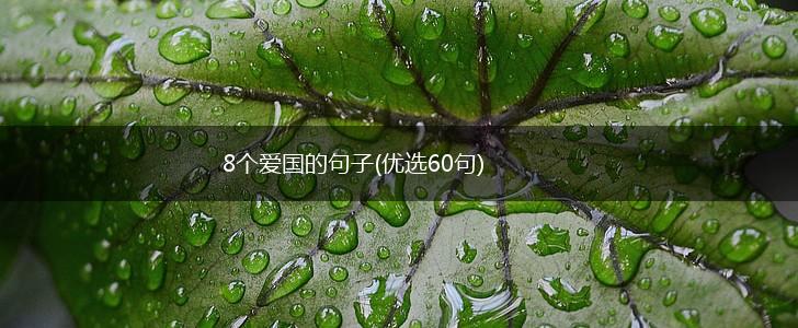 8个爱国的句子(优选60句),第1张