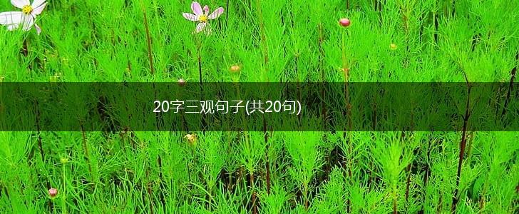 20字三观句子(共20句),第1张