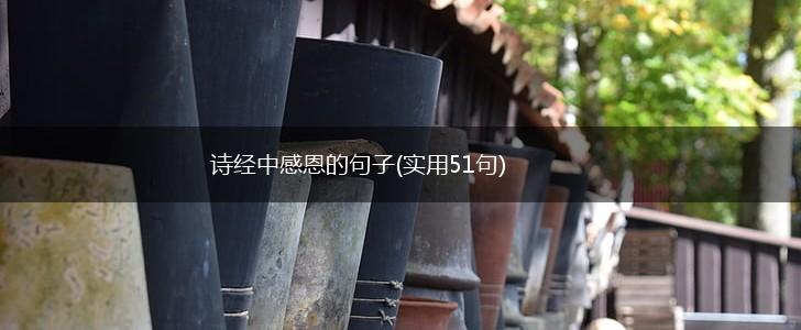诗经中感恩的句子(实用51句),第1张