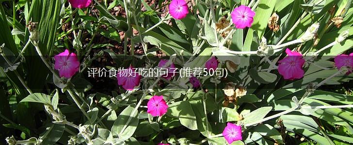 评价食物好吃的句子(推荐50句),第1张