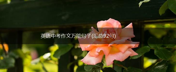 英语中考作文万能句子(汇总92句),第1张
