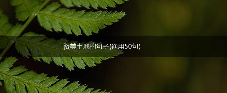 赞美土地的句子(通用50句),第1张