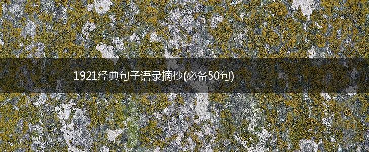 1921经典句子语录摘抄(必备50句),第1张