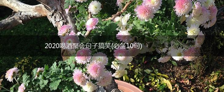 2020喝酒聚会句子搞笑(必备10句),第1张