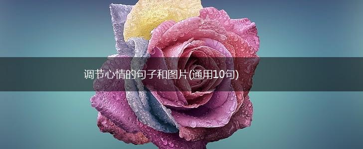 调节心情的句子和图片(通用10句),第1张