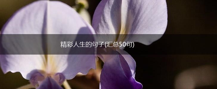 精彩人生的句子(汇总50句),第1张