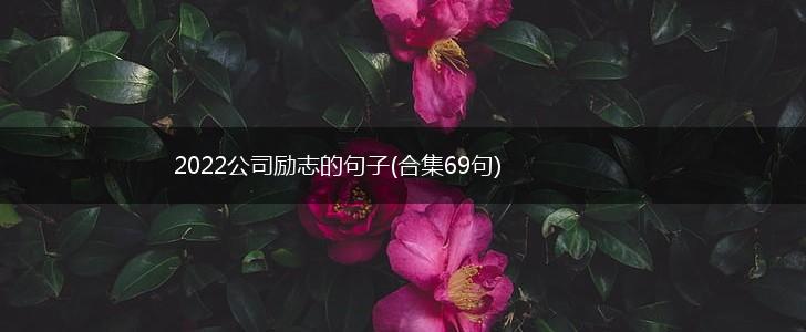 2022公司励志的句子(合集69句),第1张