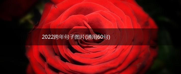 2022跨年句子图片(通用60句),第1张