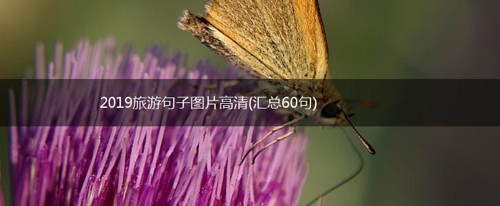 2019旅游句子图片高清(汇总60句),第1张