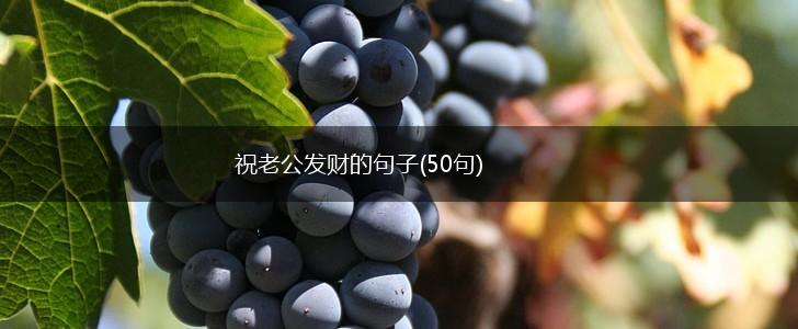 祝老公发财的句子(50句),第1张