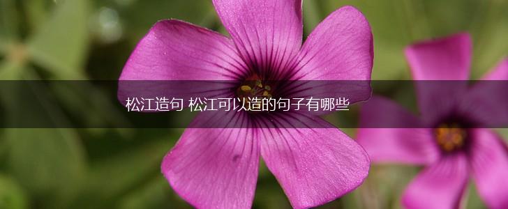 松江造句 松江可以造的句子有哪些,第1张