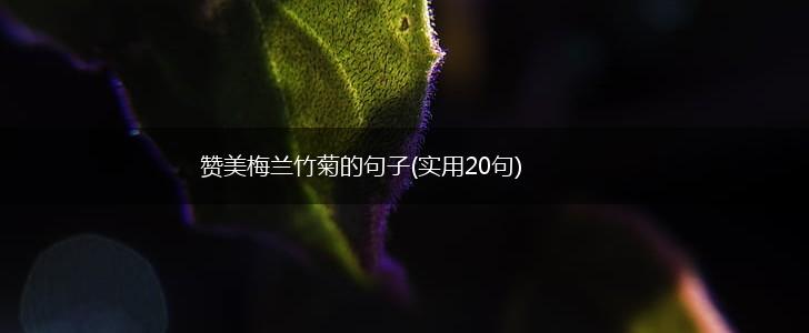 赞美梅兰竹菊的句子(实用20句),第1张