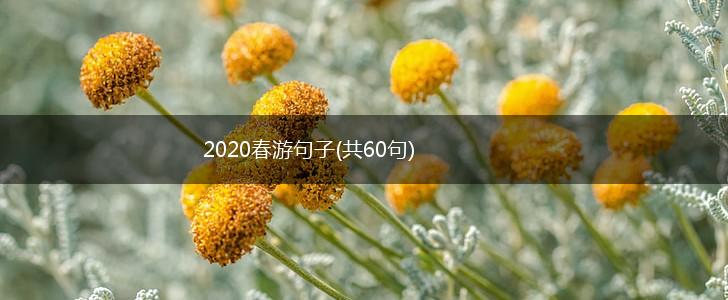 2020春游句子(共60句),第1张